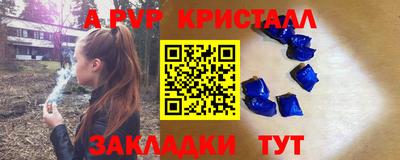 индика Можга