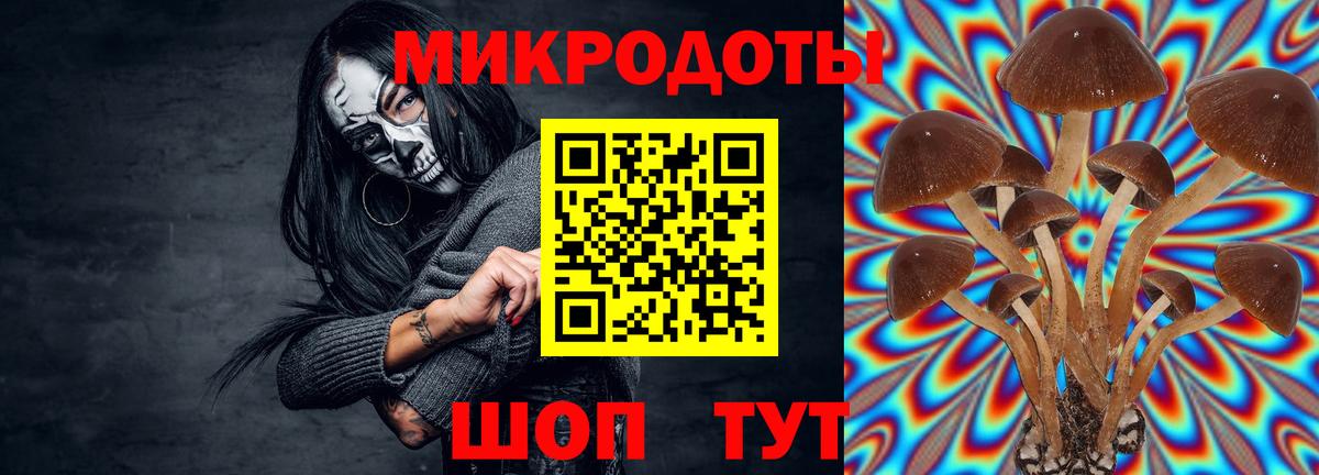магазин продажи   Псилоцибиновые грибы мухоморы  Вход с VPN  Анапа  Галлюциногенные грибы прущие грибы 
